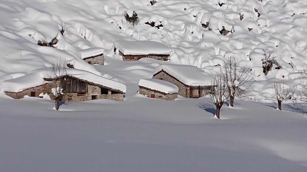 Casa Rural Las Fraguas Llanes, Gulpiyuri, Bufones Dış mekan fotoğraf